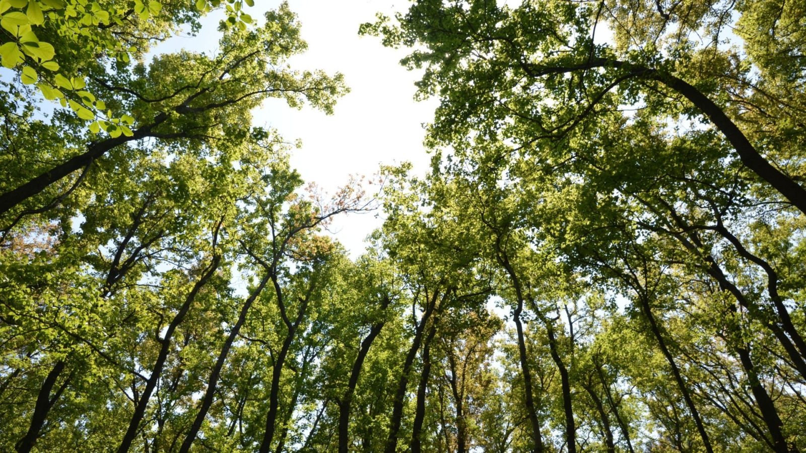 Poznaj tajemnice tlenoterapii hiperbarycznej: Jak działa i komu może pomóc?